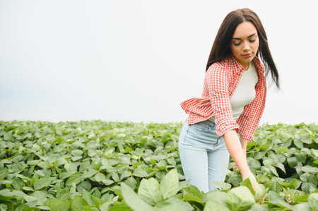 Young woman farmer inspecting the vibrant growth of soybean plants in a well tended agricultural field under a clear summer skyの写真素材