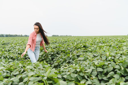 Young woman farmer walking through cultivated soybean field, gently touching plants and checking growthの写真素材
