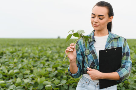 Female agronomist holding clipboard and inspecting soybean plant in cultivated field, performing quality control of cropsの写真素材