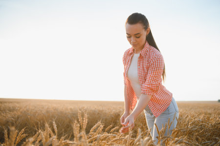 Young female farmer gently touching ripe wheat ears in cultivated agricultural field at sunset