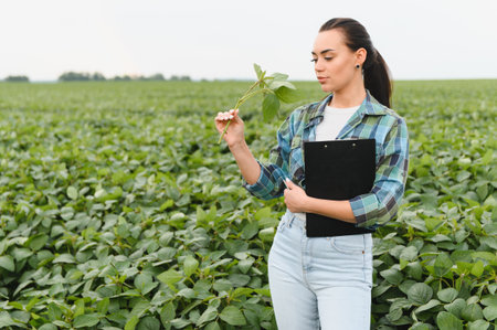 Agronomist holding a clipboard while inspecting soybean crops in a cultivated field, focusing on...