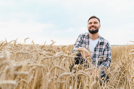 Happy farmer kneeling in a golden wheat field, smiling while gently touching and inspecting the ripe ears of wheat under the summer skyの写真素材