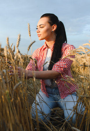 Young female farmer checking the quality of wheat stalks in a golden field at sunset, showcasing agricultural expertise and harvest timeの写真素材
