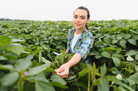 Agricultural engineer is inspecting a soybean crop, holding a clipboard and gently touching a plant, demonstrating her expertise in sustainable farming practicesの写真素材