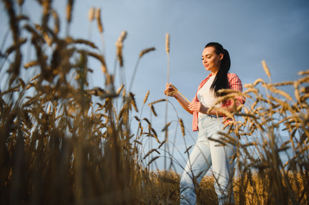 Young female farmer examining ears of wheat in golden field at sunset, assessing harvest potential