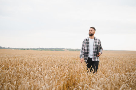 Farmer inspecting a vibrant wheat field while holding a tablet, ensuring optimal conditions for a bountiful summer harvestの写真素材