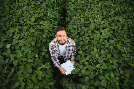 Agronomist holds a clipboard while inspecting a soybean field, ensuring healthy crop growth through modern agriculture practicesの写真素材