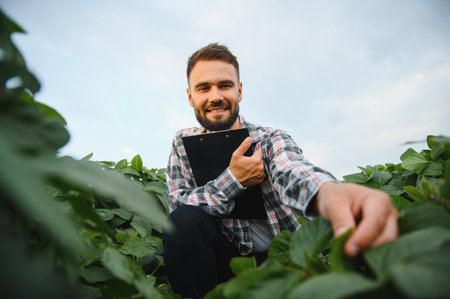 Agronomist holding clipboard and inspecting crops in a soybean field, ensuring healthy growth and maximizing yieldの写真素材