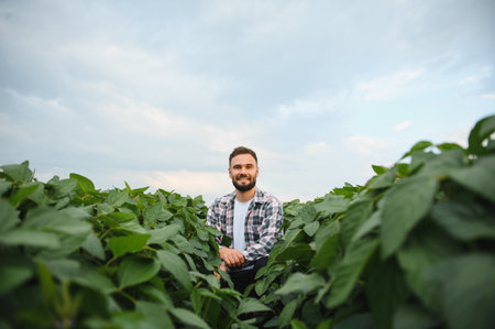 Agronomist examining the growth of soy plants in a cultivated field, ensuring a healthy and...