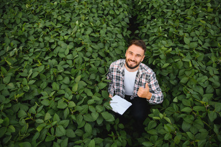 Agronomist holding a clipboard while inspecting a thriving soybean crop, smiling and giving a thumbs...