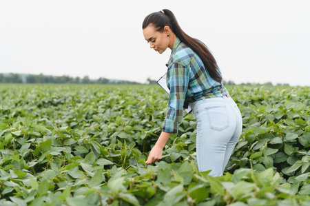 Agronomist is inspecting soybean plants in a field, holding a clipboard for data collection and...