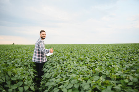 Agronomist holding clipboard walking through cultivated soy field gesturing thumbs up sign of approvalの写真素材