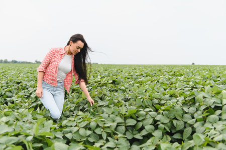 Young woman agronomist checking the growth of soybean plants in a large cultivated field, ensuring a healthy and productive harvestの写真素材