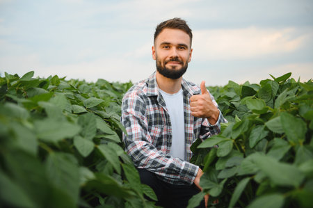 Agronomist crouching in soybean field, gesturing thumbs up, satisfied with healthy growth and harvest potentialの写真素材