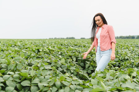 Young female farmer walking through a soybean field, gently touching the plants and examining the crop growthの写真素材