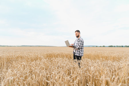 Farmer using laptop in wheat field, implementing modern technology for efficient crop management and sustainable agriculture practicesの写真素材