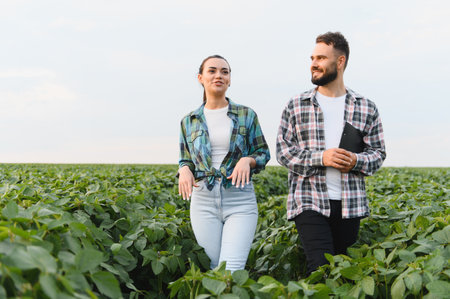 Two farmers are walking through a soybean field, discussing the growth and health of their cropsの写真素材