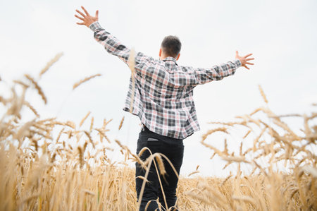 Young farmer celebrating a bountiful harvest, raising arms joyfully in a golden wheat field under a...