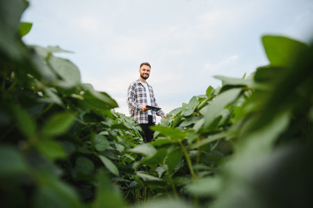 Agronomist using modern technology in agriculture, inspecting soybean plants and collecting data for...