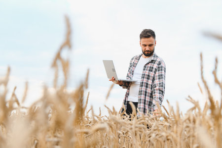 Farmer using modern technology for agriculture, holding laptop and inspecting wheat stalks in golden fieldの写真素材