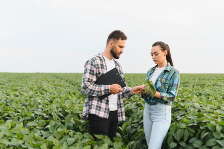 Two agronomists analyzing soybean plants and discussing their growth in a vast agricultural field, symbolizing sustainable farming practicesの写真素材
