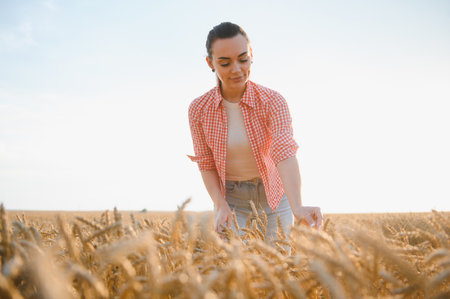 Female farmer walking through a golden wheat field at sunset, inspecting crops and enjoying the...