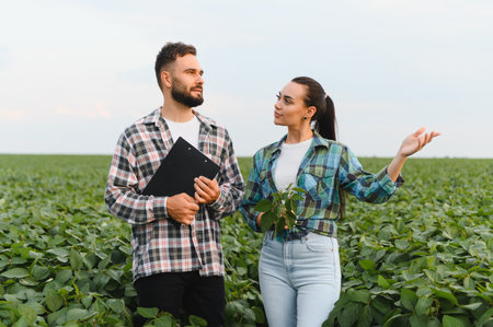 Two farmers are discussing the state of their soybean crop in a cultivated field, holding a clipboard and a soybean plantの写真素材