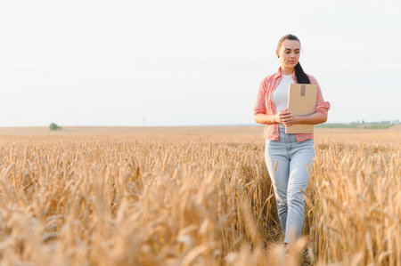 Female farmer inspecting her wheat field, holding a clipboard while carefully evaluating the ripeness of the harvest under bright sunlightの写真素材