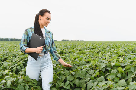 Female farmer walking through cultivated soybean field and examining plants while holding clipboardの写真素材