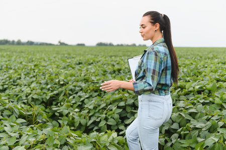 Female agricultural engineer walking through cultivated soybean field, holding clipboard and...