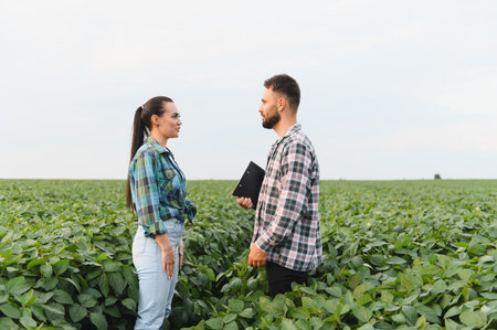 Two farmers are having a discussion in a soybean field, possibly reviewing the growth and health of the cropの写真素材