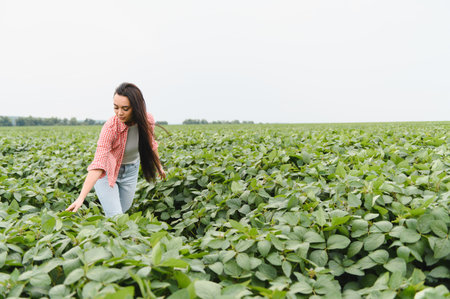 Young woman farmer walking through cultivated soybean field, touching leaves and checking crops for growth and healthの写真素材