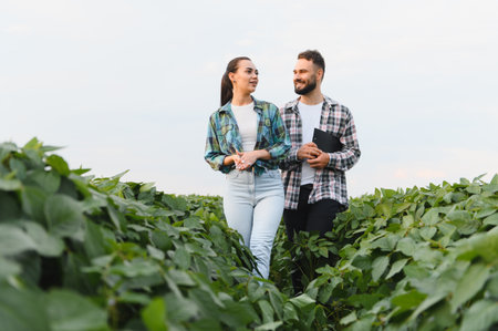 Two farmers are walking and discussing in a cultivated soybean field, sharing expertise and planning for a successful harvestの写真素材
