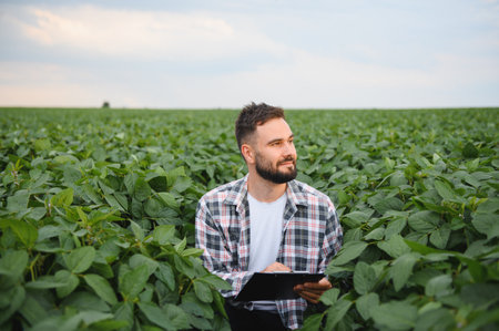 Agronomist examining crops in soybean field taking notes on clipboard, surrounded by lush green plants, ensuring healthy growth and maximizing yieldの写真素材