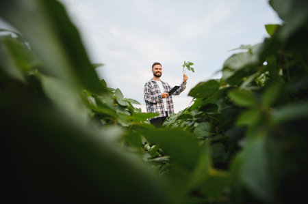 Agronomist holding soy plant and tablet, examining crops in cultivated field, performing quality...