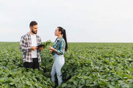 Two agricultural professionals collaborating amidst a soybean field, assessing plant health and growth for optimal yieldの写真素材
