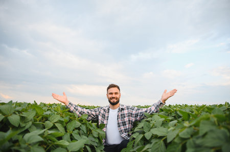 Smiling agronomist with open arms, celebrating success in a lush soy plantation beneath a cloudy sky, embodying pride in sustainable agricultureの写真素材