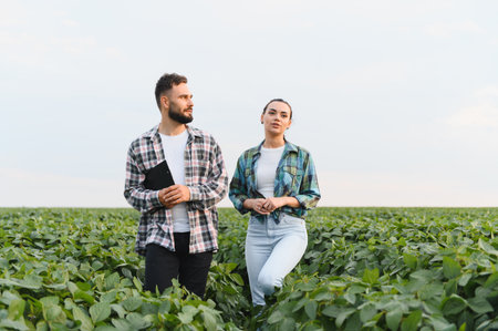 Two farmers walking through a lush soybean field, discussing crop health and analyzing growth patterns under the summer skyの写真素材
