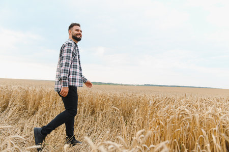 Young farmer walking through golden wheat field on sunny day, enjoying the harvest and agricultural successの写真素材