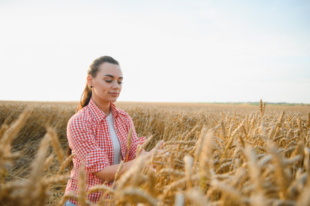 Young female farmer gently touching ripe wheat ears in golden field, checking the quality of the harvest at sunsetの写真素材