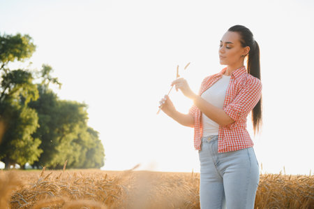 Farmer examining ripe ears of wheat in a cultivated field during the enchanting golden hour,...