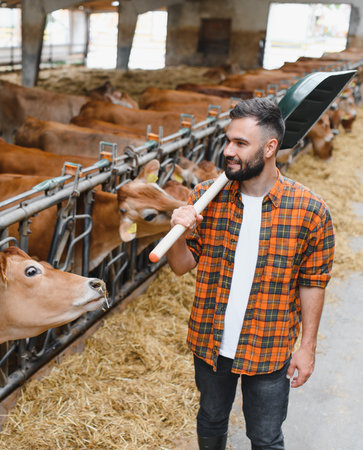 Young farmer smiling while carrying a shovel on his shoulder, walking through a barn stall surrounded by cows during work hoursの写真素材