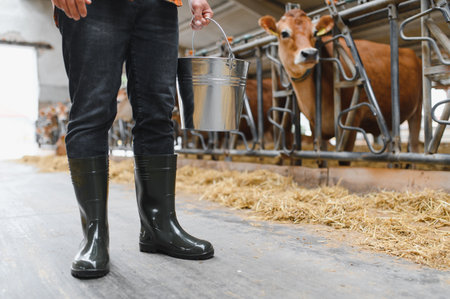 Farmer in rubber boots walking through the cowshed, carrying a metal bucket while tending to jersey cows amidst hay and strawの写真素材