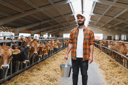 Farmer carrying a metal bucket strolls near jersey cattle inside a barn at a bustling livestock farm, tending to his dairy operationの写真素材