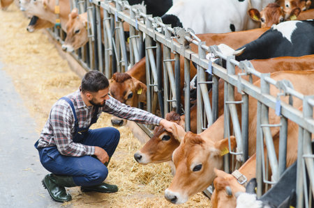 Young farmer caressing jersey cows in a cowshed, showcasing the bond between humans and animals in agricultureの写真素材