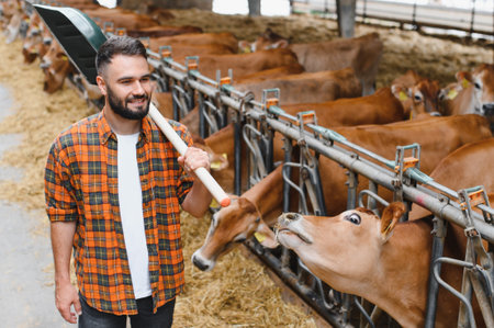 Farmer carrying a shovel walks near jersey cows in a stable, engaging with the camera while tending to the livestockの写真素材