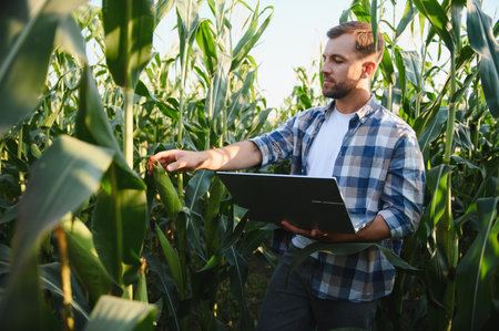 Farmer using modern technology for efficient crop management, inspecting corn growth and collecting...
