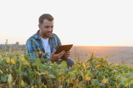 Farmer using a tablet in a soybean field at sunset, implementing modern technology in agriculture for efficient crop managementの写真素材