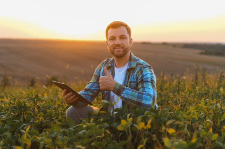 Farmer squatting in a soy field at sunset, holding a tablet and giving a thumbs up, embodies the spirit of modern agriculture and innovationの写真素材