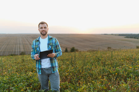 Agronomist analyzing harvest growth in cultivated soybean field using clipboard and pen at sunsetの写真素材